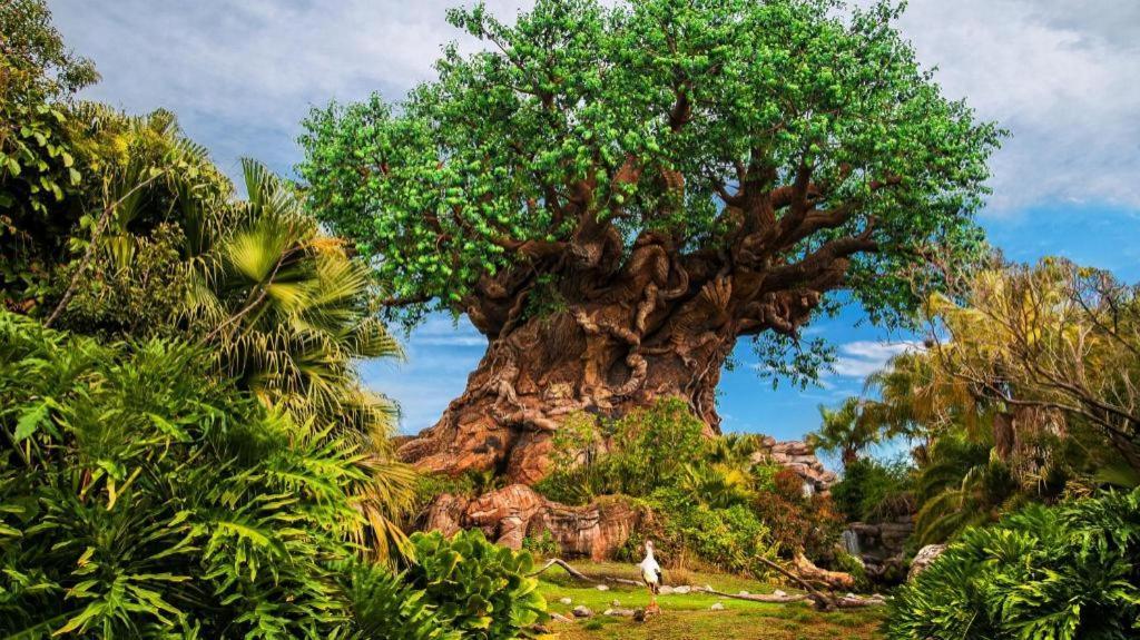 Disney'S Animal Kingdom Lodge Four Corners Zewnętrze zdjęcie