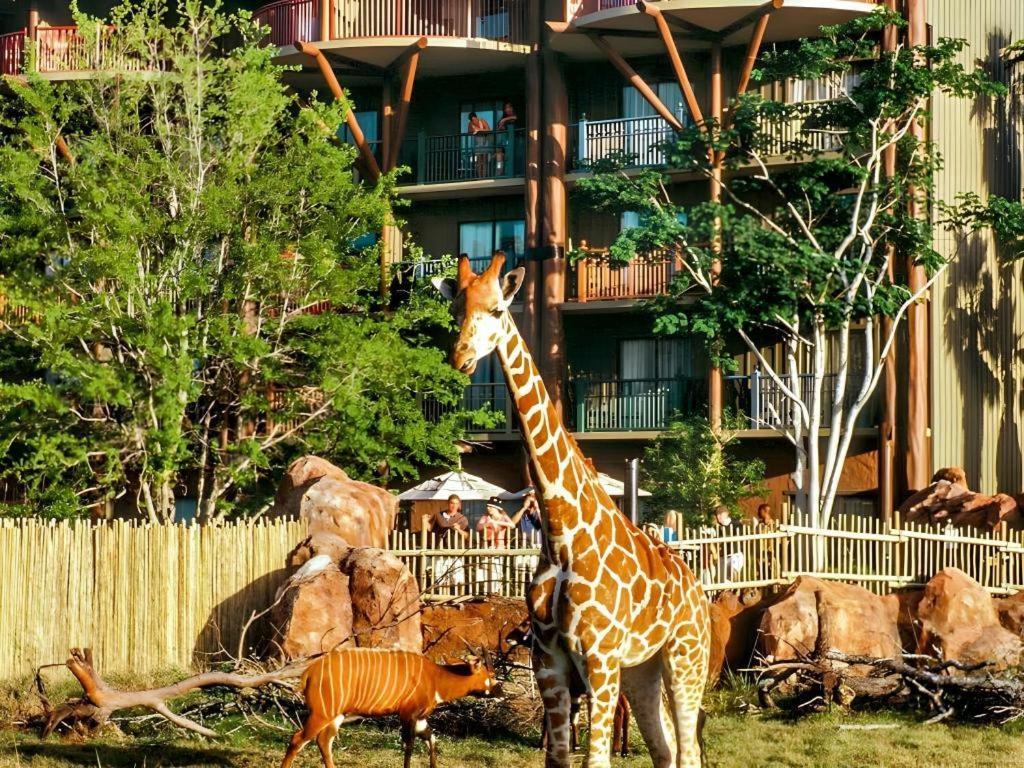 Disney'S Animal Kingdom Lodge Four Corners Zewnętrze zdjęcie