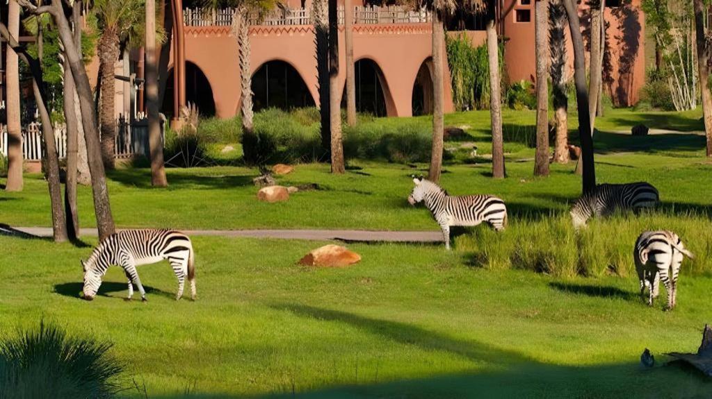 Disney'S Animal Kingdom Lodge Four Corners Zewnętrze zdjęcie